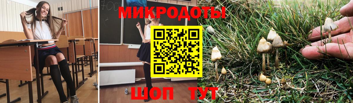 Рославль  Галлюциногенные грибы мицелий  Вход с VPN  наркота  Галлюциногенные грибы мухоморы 
